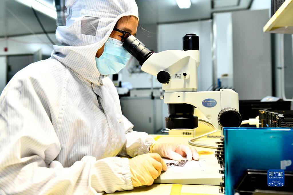 九线拉王游戏下载